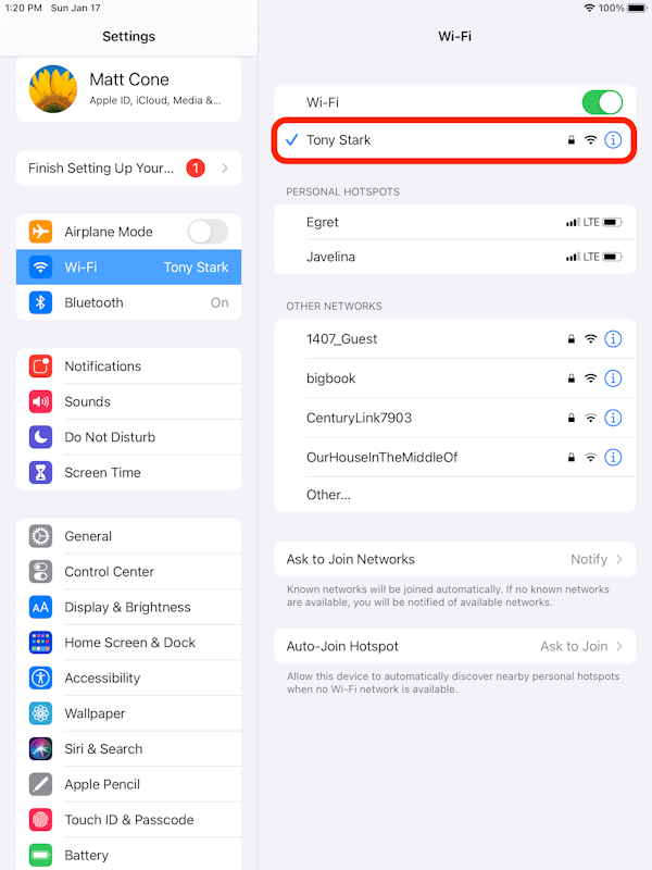 iPad IP address