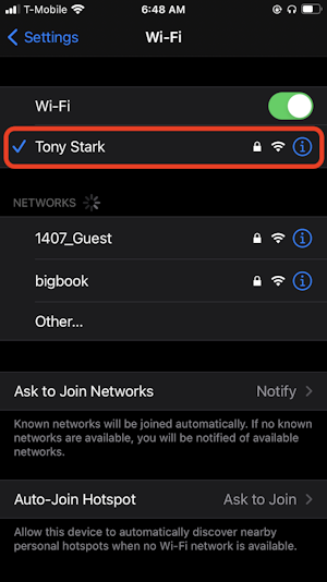 iPhone network settings