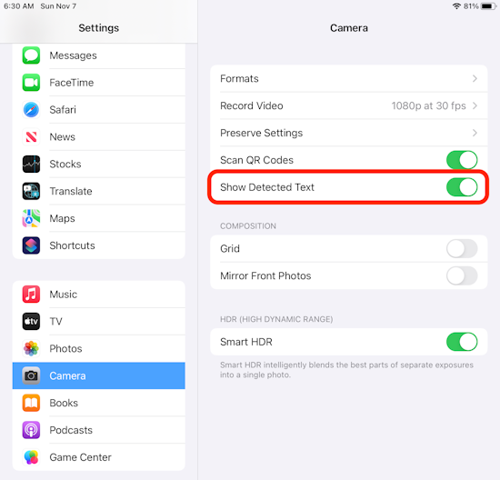 Enable the text scanning feature on your iPad